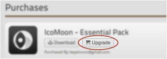 Screenshot showing the upgrade button in the account page